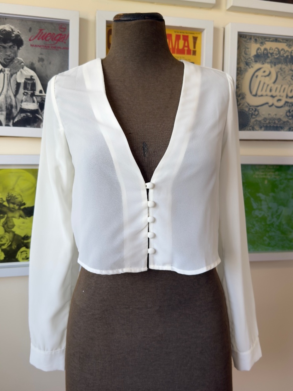 White Deep V Button Front Crop Blouse | Coquette Balletcore Minimalist